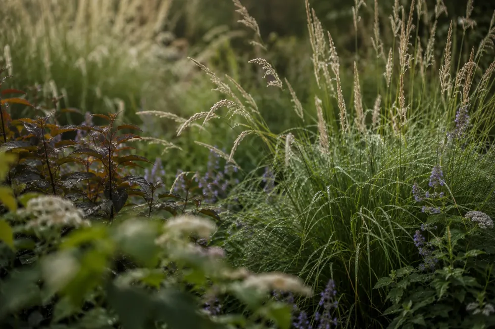 Beplanting met ochtenddauw